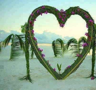 Arche losange 🔶 6