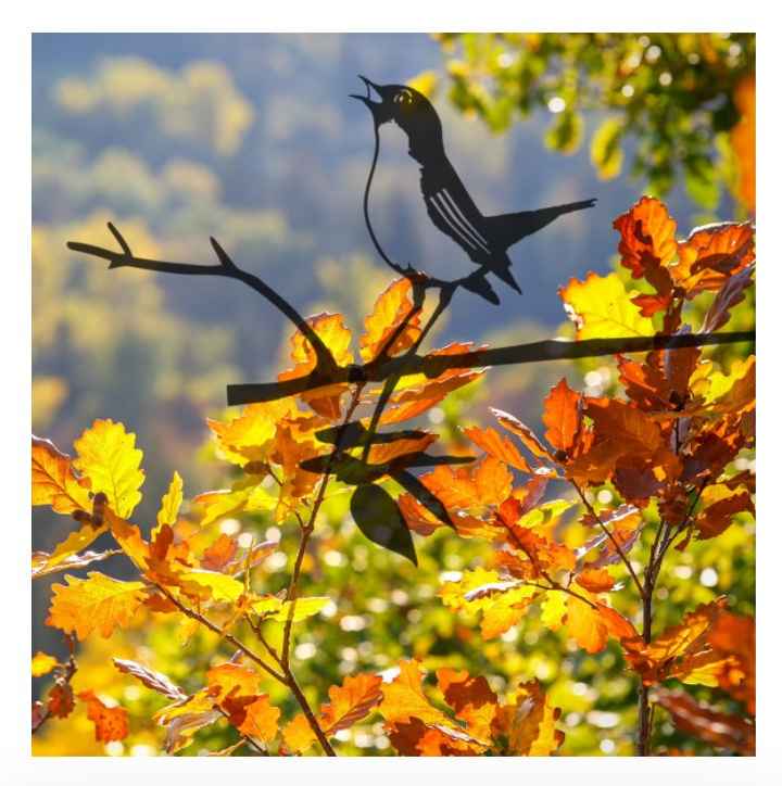 Derniers achats vinted 12