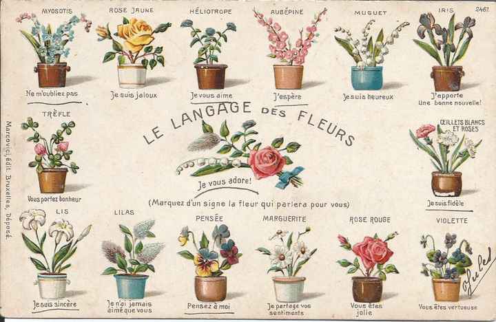 Croyances, théories et superstitions 🤞 - 5
