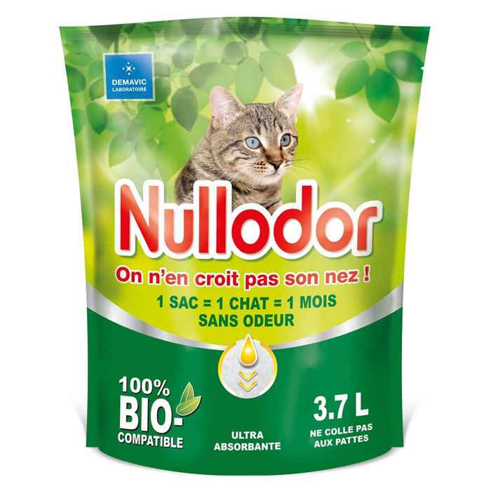 Fleurs séchées et écologie 💐 4