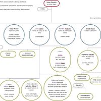 arbre généalogique