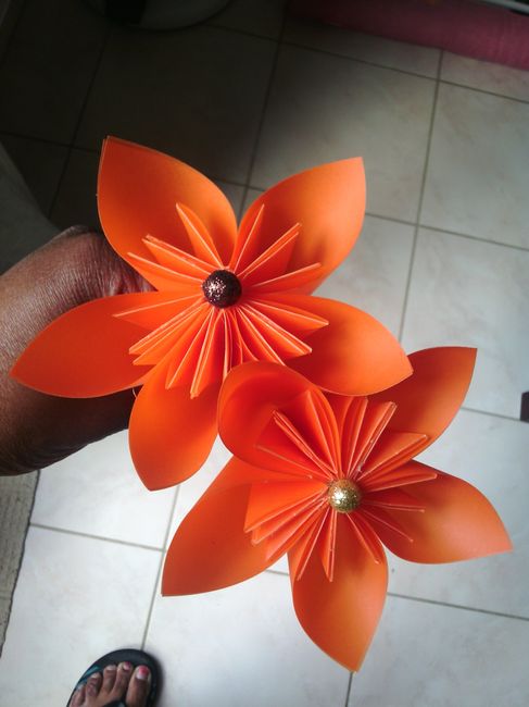 premier essai fleur