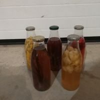 Préparation rhum arrangé - 1