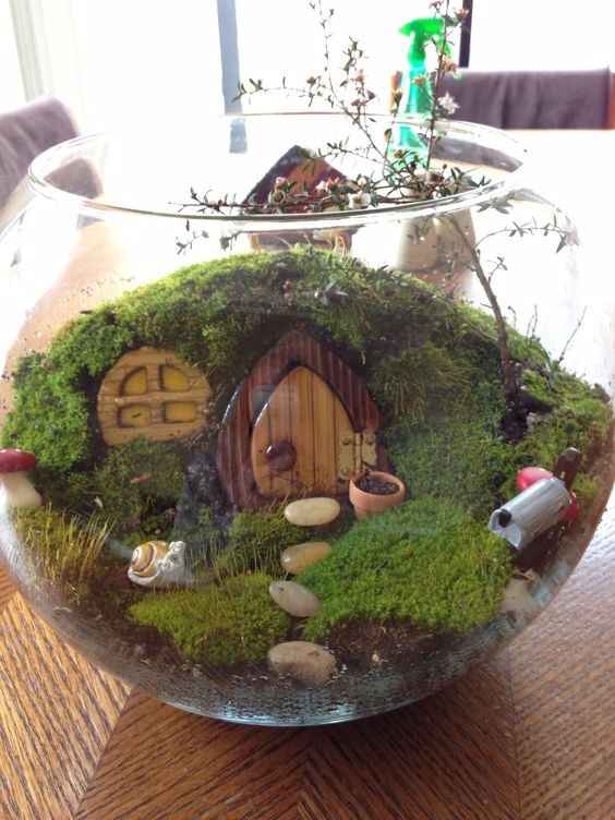 Terrarium Hobbit