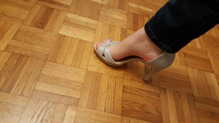Repetto argenté