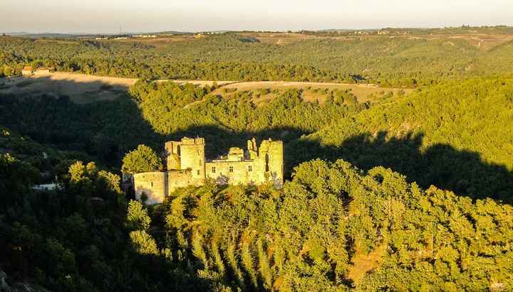 Chateau de Roussillon