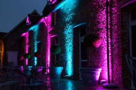 mon mariage burtonnien4