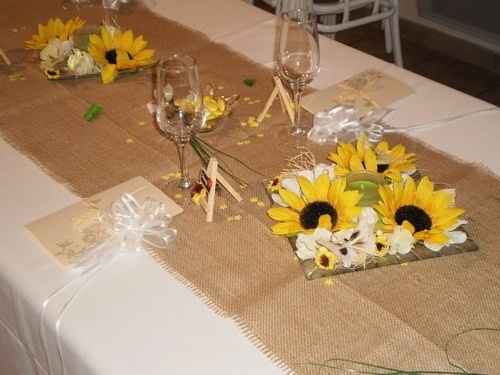 tournesol et jutte