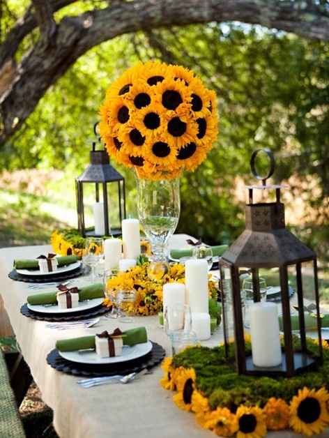 tournesol