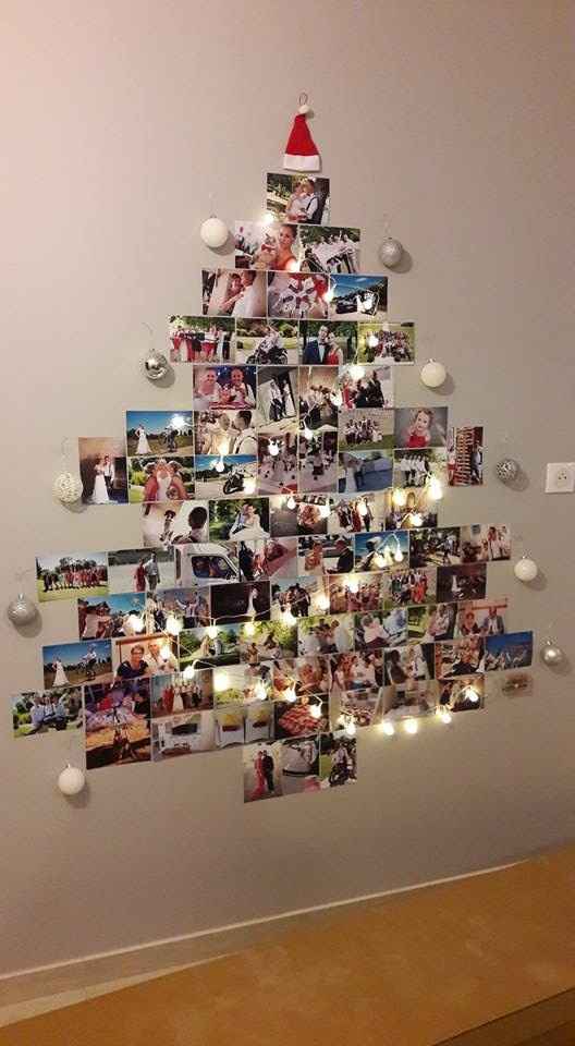 Sapin en photo