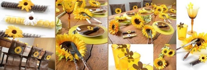 tournesol