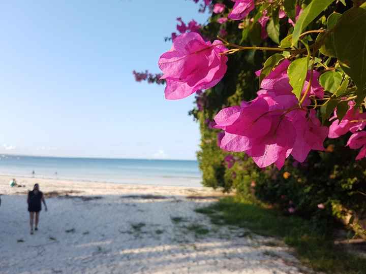 paysages magnifiques