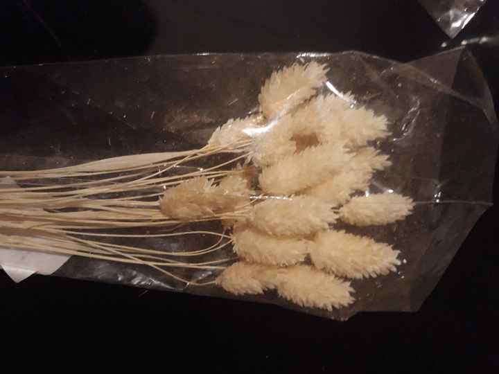 Partage d'idées et d'avis - 3