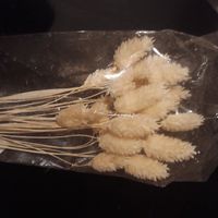 Partage d'idées et d'avis - 3