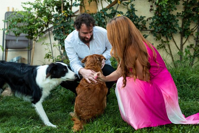 Tu feras aussi une photo de famille ? 🐶 2