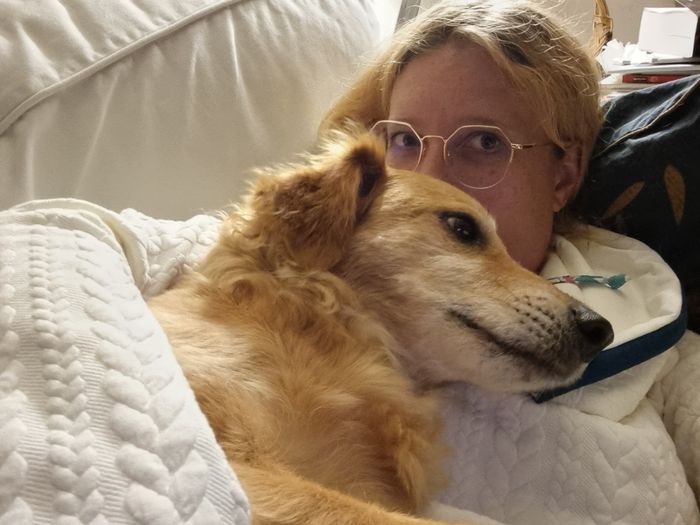 Qui a Des animaux ? 2