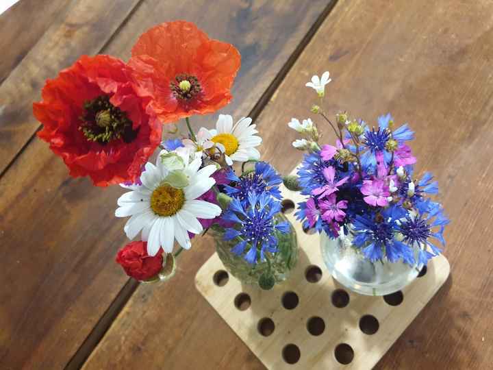 Retour d'expérience : quelle taille de vase ? - 2