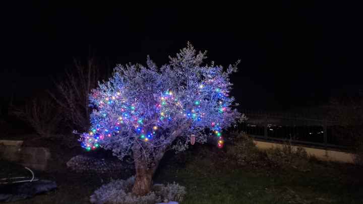 Joyeux Noël à tous ! - 1