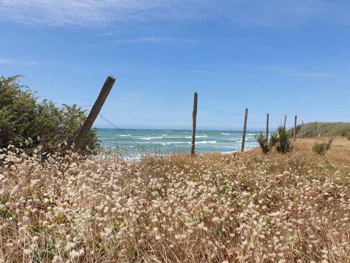 C'est l'amour à la plage... Aou-cha-cha-cha 🌊 - 1