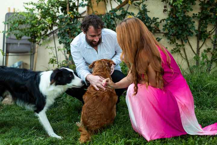 Tu feras aussi une photo de famille ? 🐶 - 1