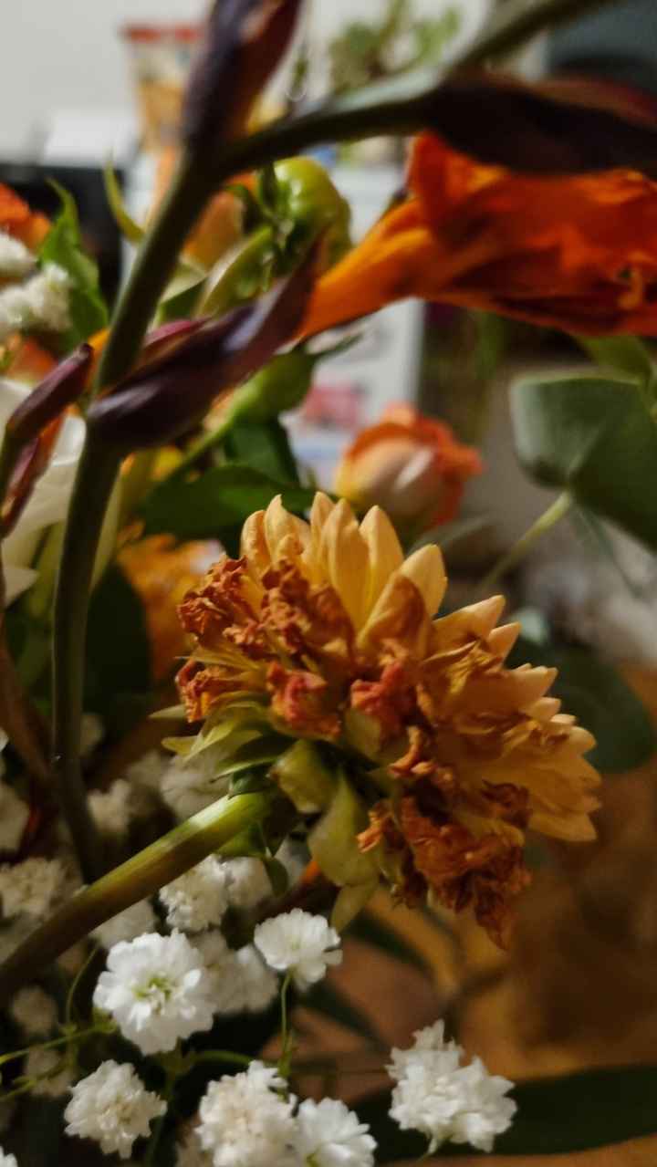 Fleurs fanées au bout de... 1 jour !!!😡 - 2