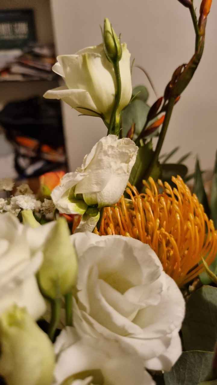 Fleurs fanées au bout de... 1 jour !!!😡 - 4