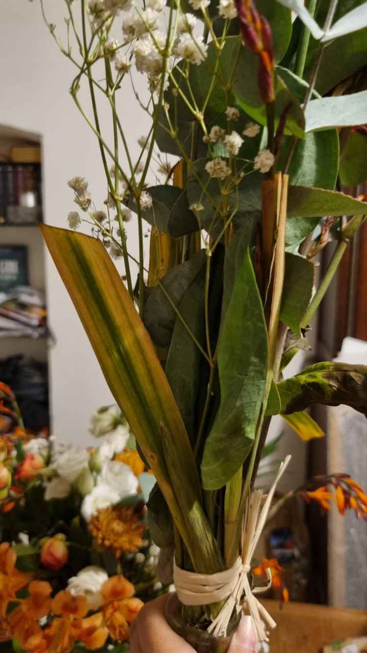 Fleurs fanées au bout de... 1 jour !!!😡 - 6