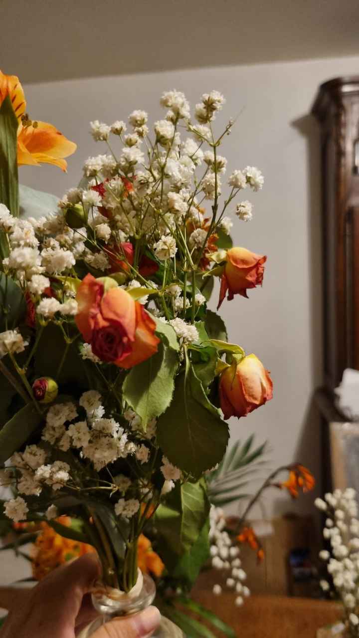 Fleurs fanées au bout de... 1 jour !!!😡 - 8