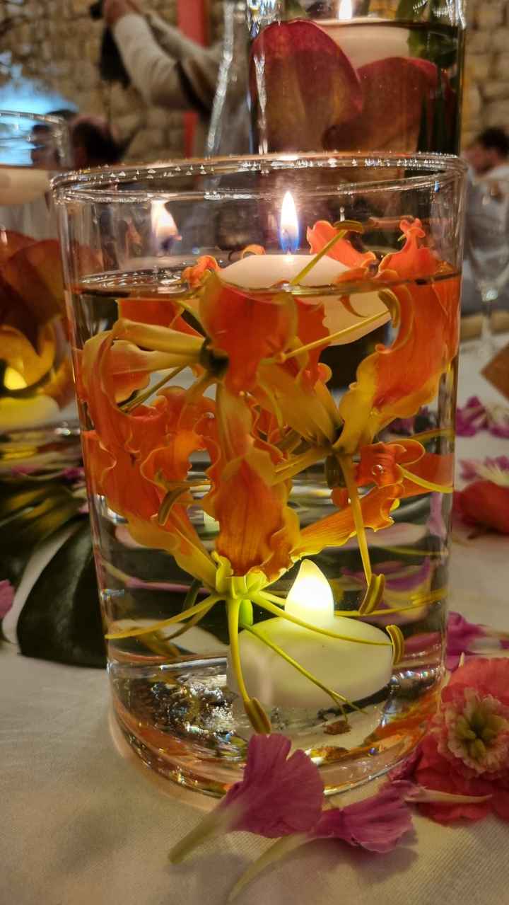 Mariage tropical - 1