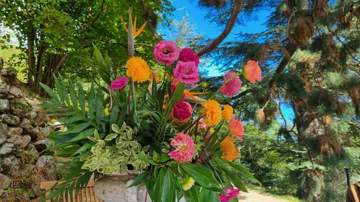 Mariage tropical - 2