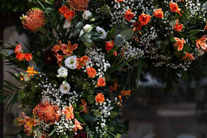 Vos fleurs : photo et prix - 5
