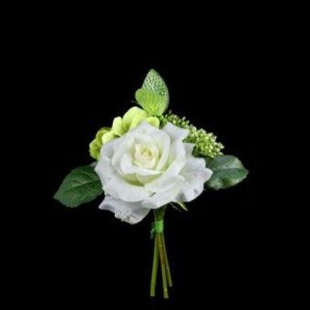 Rose blanche