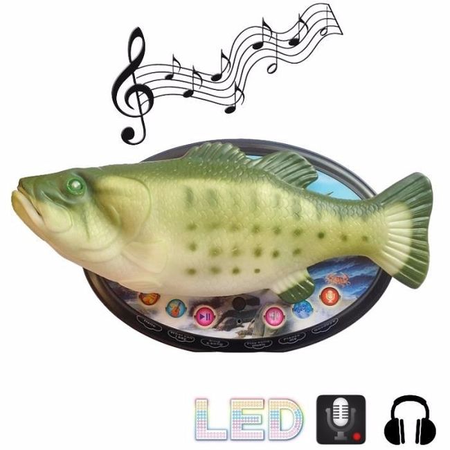 Animation musicale repas