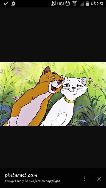 Quel couple disney êtes vous? - 1