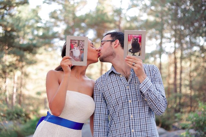 Amour, chat et forêt!