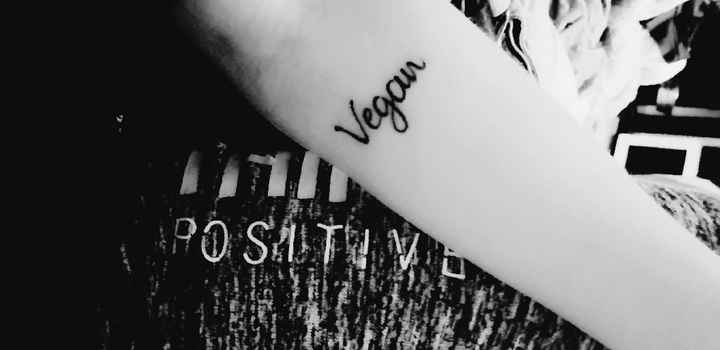 evjf de folie ♡ - 3