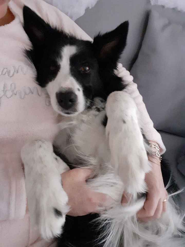 Oui 😁 ou non 😒  : Partie 4 - 1