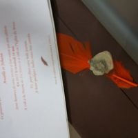 faire part avec carte