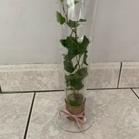 Vente de vases - 1