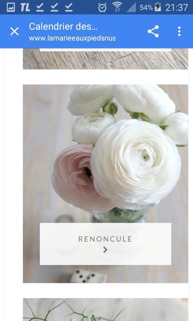 Fleurs des champs..! - 3
