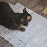 Sheitan fait le placement des tables ^^