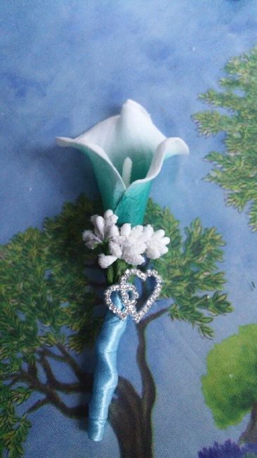 Présentation et demande de conseils - 1