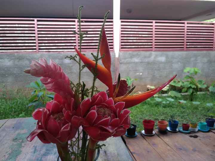 Fête des fiançailles (bis) 💍 💏🌿 - 1