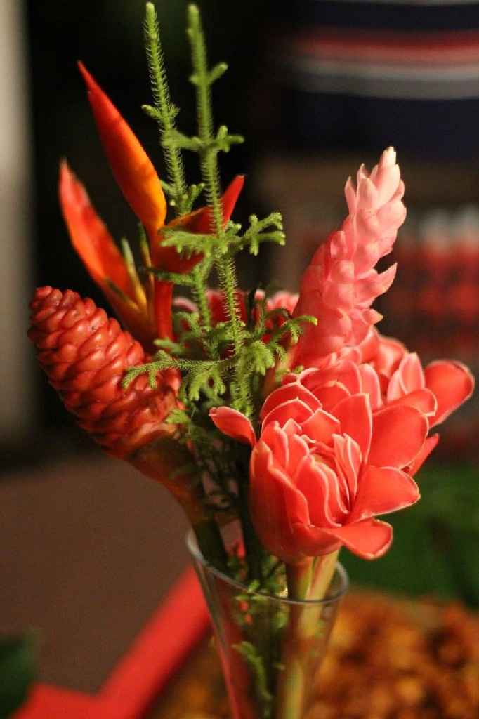 Quand ton corps te dit stop - 2