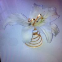 Photo de vos porte-alliances ! - 1