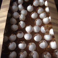 Photos de vos marque-places - 1