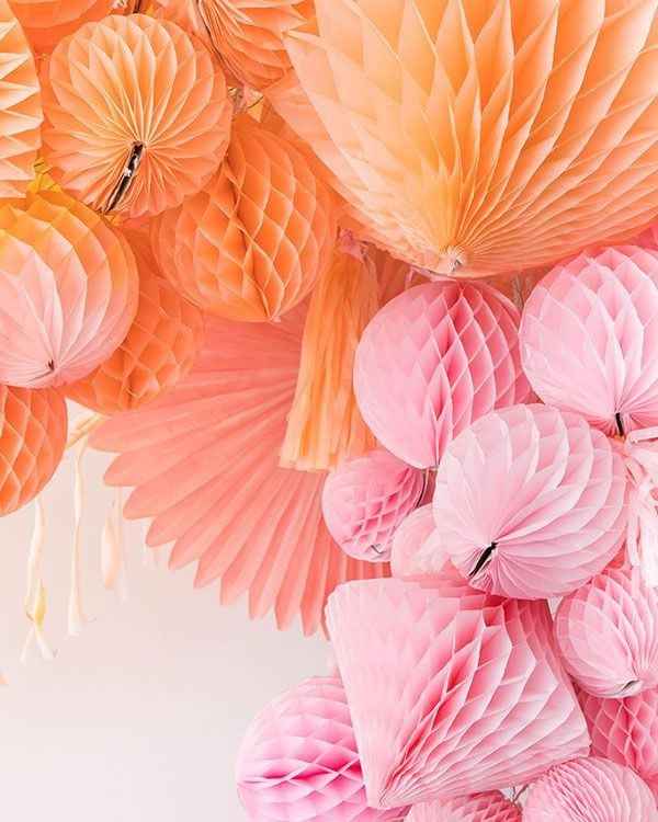  Rdv fleuriste ok 😁😁😁😁 - 1