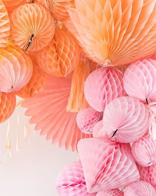  Rdv fleuriste ok 😁😁😁😁 - 1