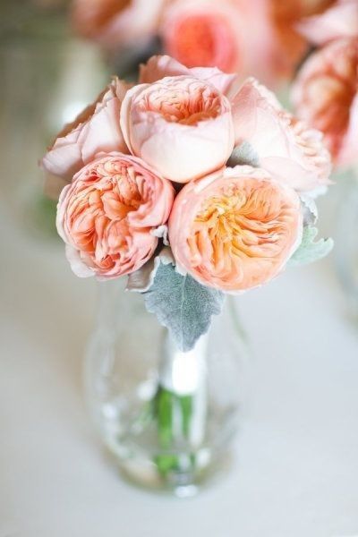  Rdv fleuriste ok 😁😁😁😁 - 2