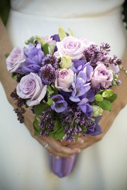 Bouquet violet à la recherche... - 2